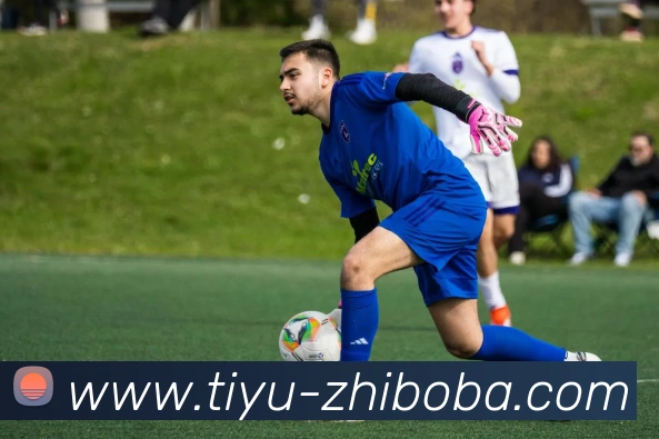 直播吧平台生态图